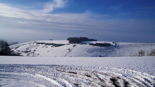 One of the very best butterfly spots in Dorset - but not today!
