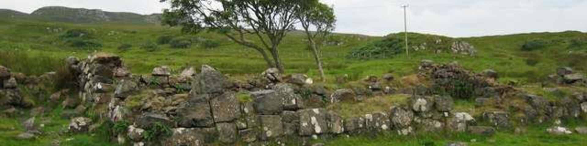 Un muro de piedra con un árbol solitario en un campo cubierto de hierba.