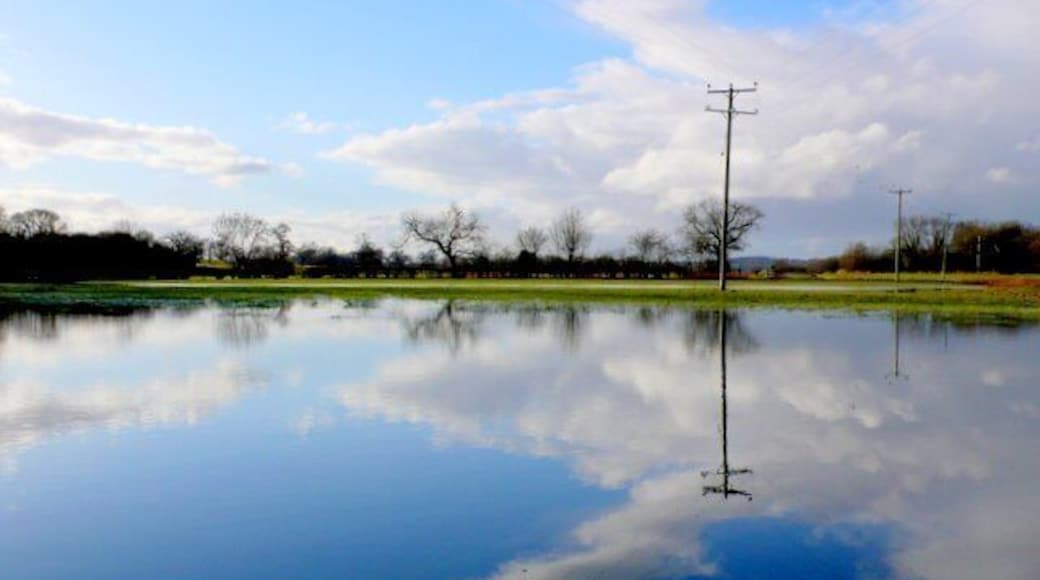 Floodwaters of the River Isle The Isle is one of the rivers that drain the Somerset levels. This is the view north just close to the bridge at Hambridge.