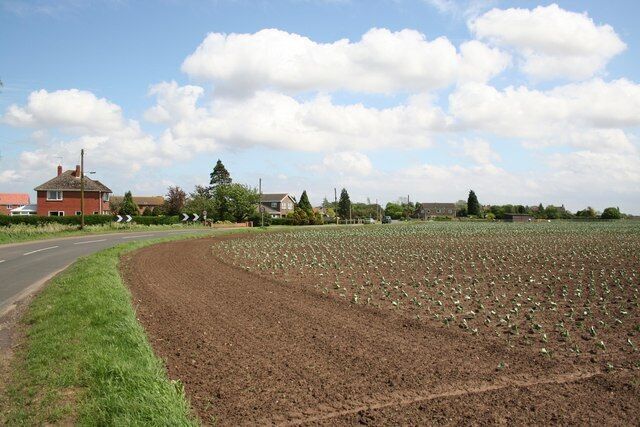 Fishtoft. View from Fishtoft Road near Ivy Farm.