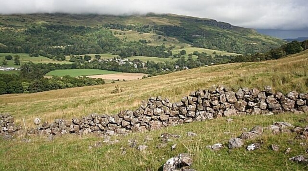 On the Slopes of Dunmore The rickety-looking drystane dyke, marked on the 1:25,000 map, separates the rough grazing from the gully carved by the Kilewnan Burn, behind me. At the other side of the glen the Fintry Hills are partly obscured by low cloud. Fintry itself is among the trees in the middle distance.