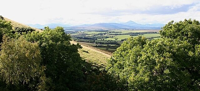 A hilly landscape with dense green trees and a distant view of rolling hills and mountains.