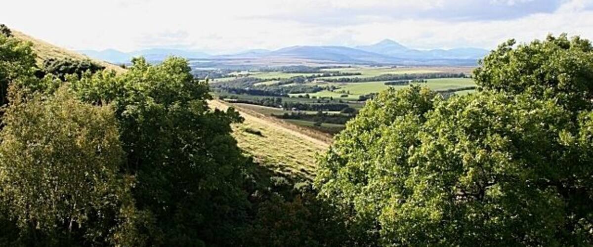 A hilly landscape with dense green trees and a distant view of rolling hills and mountains.