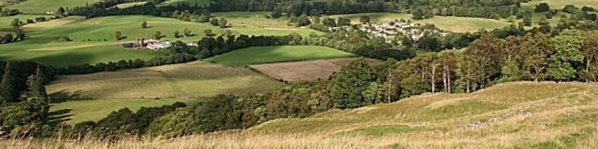 Fintry from Dunmore The wood on the right conceals the small volcanic vent of Dunbeg, which takes its name (meaning 'small fort') from the prehistoric fort on its summit, just like Dunmore (meaning 'large fort'), on whose slopes I am standing. New housing on the outskirts of Fintry lies in the glen below, with the lava flows forming the Fintry Hills on the skyline.