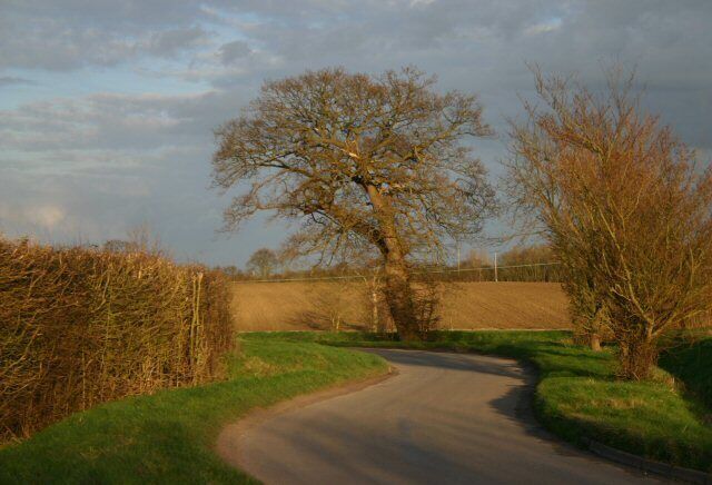 Winding road to Gislingham The Finningham to Gislingham road, north of Finningham.