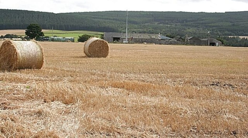 Carnoch The farm buildings at Carnoch, with the Hill of Maud beyond.