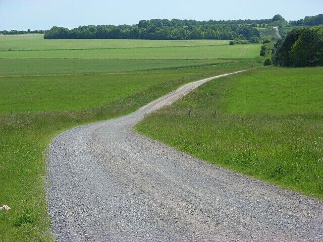Track, Durrington Approaching Stonehenge Firs.