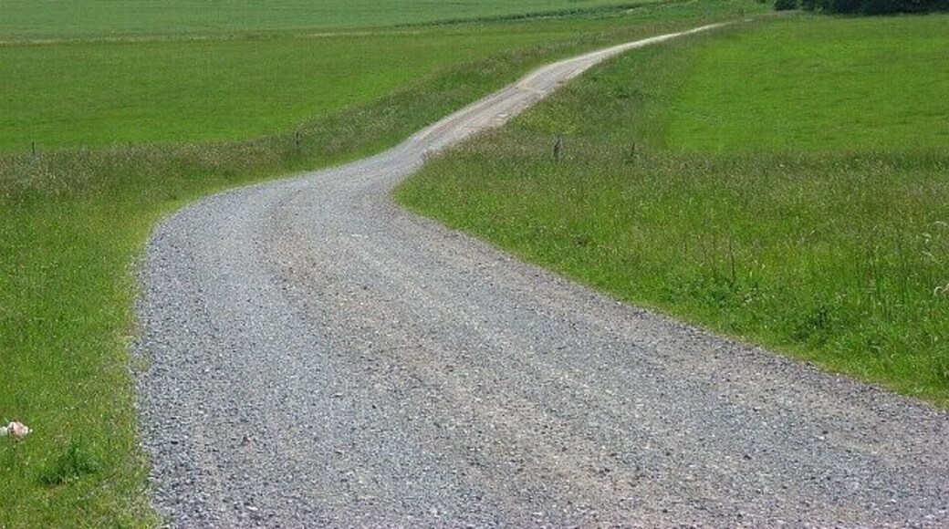 Track, Durrington Approaching Stonehenge Firs.