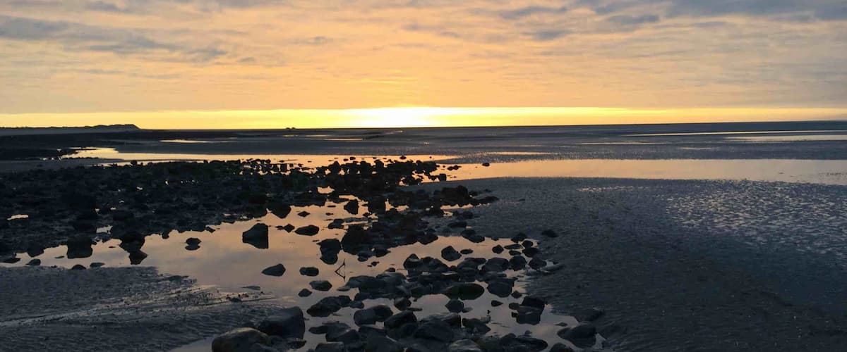 A sunset over a rocky shoreline with a dog near the water.
