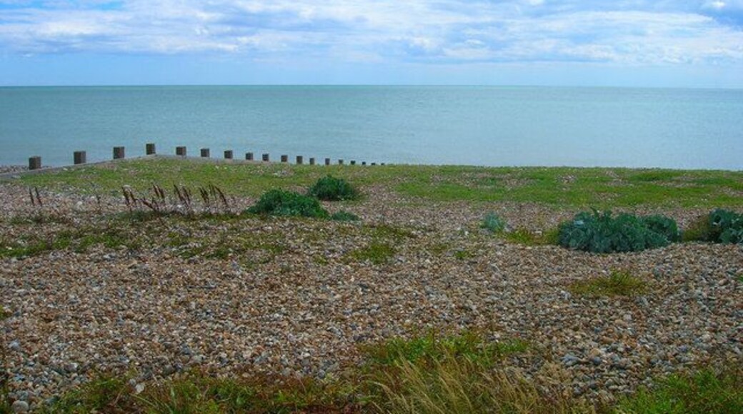 Kingston Gorse Beach Looking out onto the shingle from the greensward.