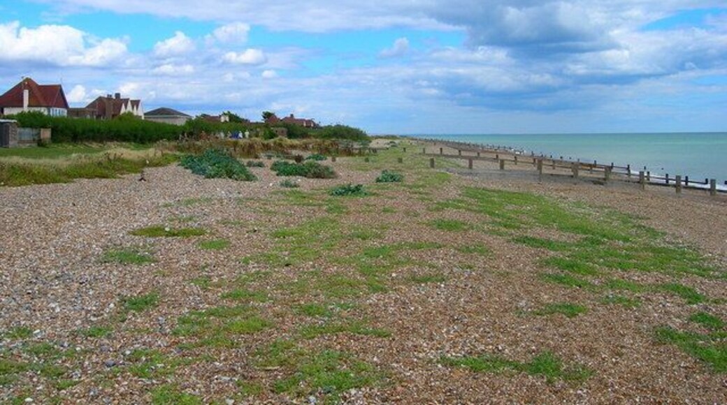 KIngston Gorse Beach The public footpath follows the greensward between the houses and the shingle beach. The houses are part of the private estate of Kingston Gorse.
