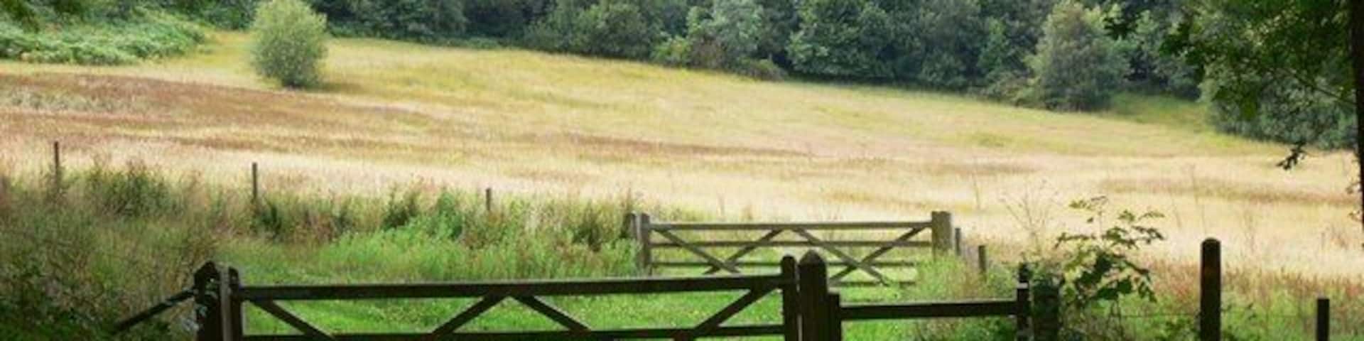 Footpath leaves Sewards Copse near Fernhurst