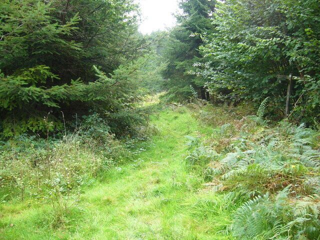 Change of direction on the New Lipchis Way Here the walk turns left from south to east.