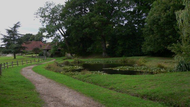 Pond with water lilies at Lower House Farm