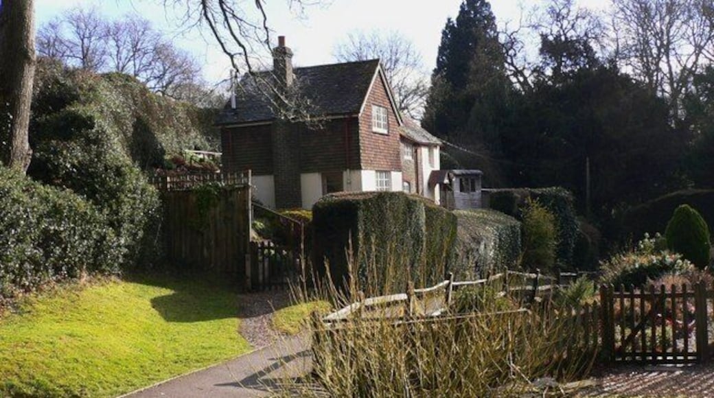 Cottage at Fernhurst The path in front of the houses is separated from the road by the gardens.
