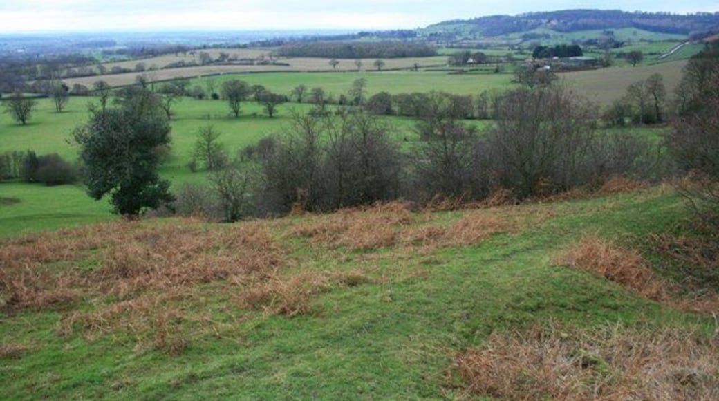 Fields Along Eller Beck View North as the road climbs from Boltby up to Felexkirk.