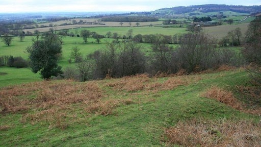 Fields Along Eller Beck View North as the road climbs from Boltby up to Felexkirk.