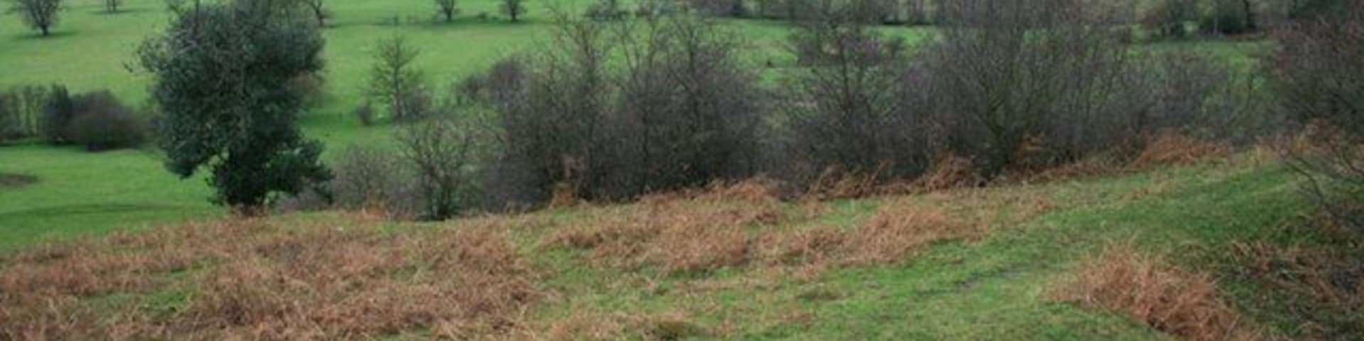 Fields Along Eller Beck View North as the road climbs from Boltby up to Felexkirk.