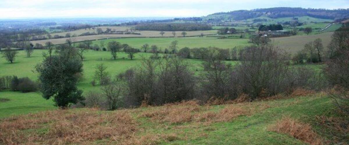 Rolling hills, green fields, and scattered trees.