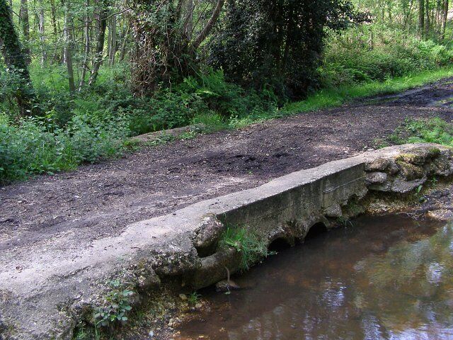 Dean's Bridge, Floating Island valley Dean's Bridge crosses the stream flowing down the valley south of Badminston Common that leads to Floating Island. Between this bridge and Mopley Pond (upstream) the valley is wooded with oak and birch. Immediately below the bridge the valley is wider and less heavily wooded, but eventually becomes the carr around Floating Island. This bridge and causeway look well-used by horse riders, and is very muddy.