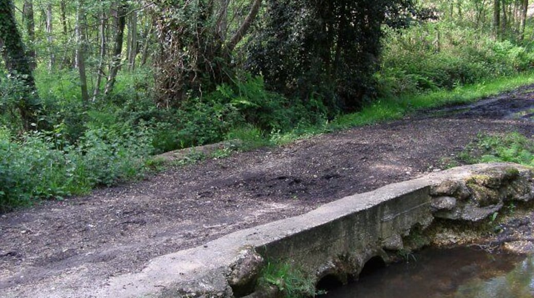 Dean's Bridge, Floating Island valley Dean's Bridge crosses the stream flowing down the valley south of Badminston Common that leads to Floating Island. Between this bridge and Mopley Pond (upstream) the valley is wooded with oak and birch. Immediately below the bridge the valley is wider and less heavily wooded, but eventually becomes the carr around Floating Island. This bridge and causeway look well-used by horse riders, and is very muddy.