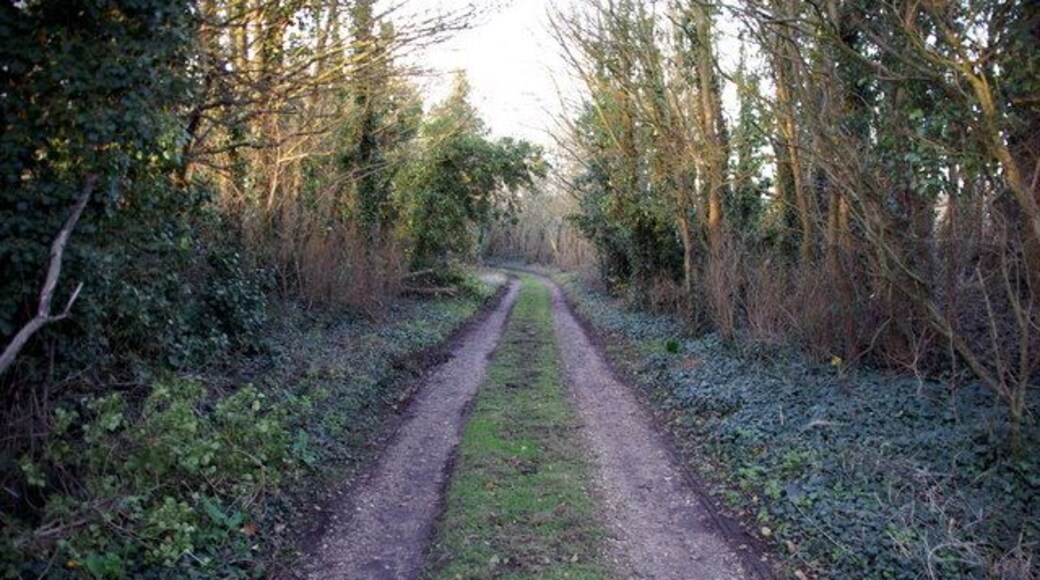 Track near Stonehill Farm