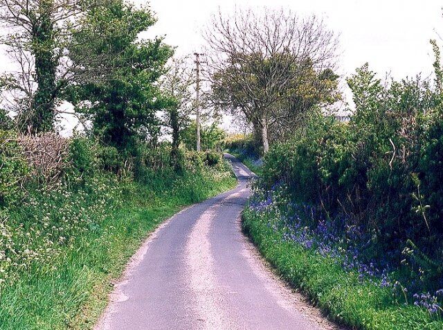 Old drove road, Fawley.