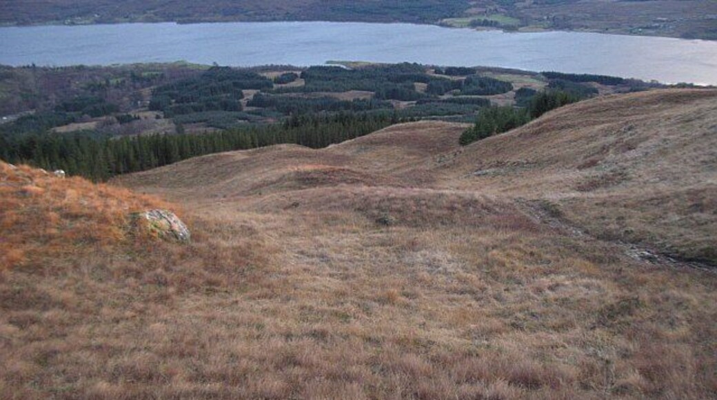 Forest above Gleann Sùileag Approaching a gap in the trees which leads down to tracks back to Fassfearn. Loch Eil in the background.