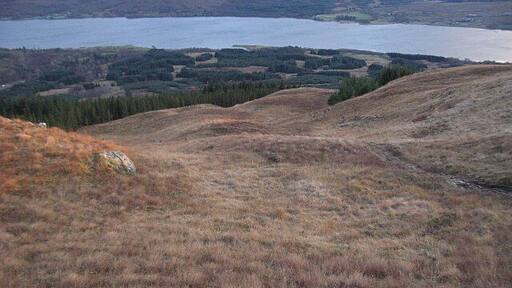 Forest above Gleann Sùileag Approaching a gap in the trees which leads down to tracks back to Fassfearn. Loch Eil in the background.