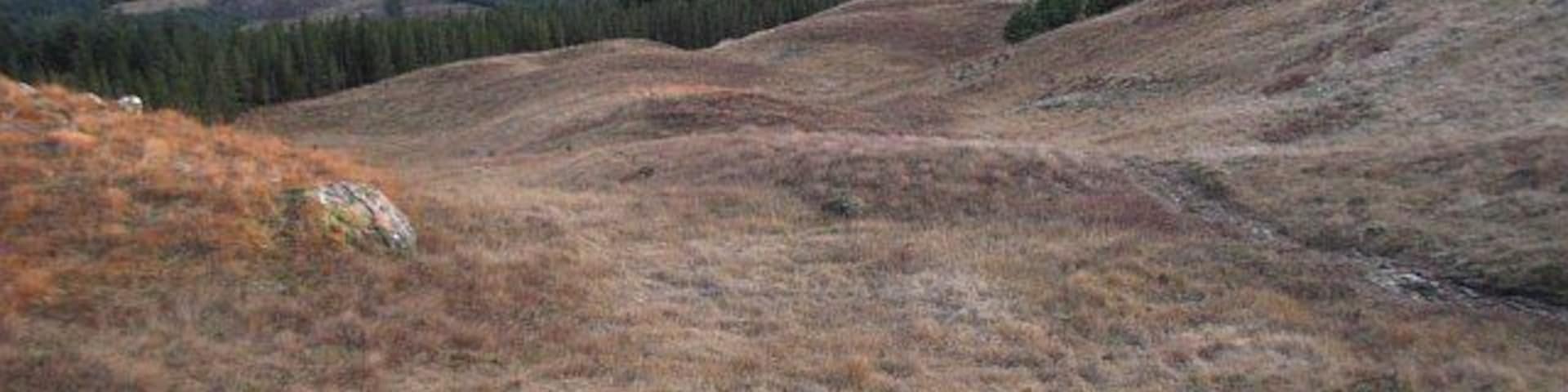 Forest above Gleann Sùileag Approaching a gap in the trees which leads down to tracks back to Fassfearn. Loch Eil in the background.