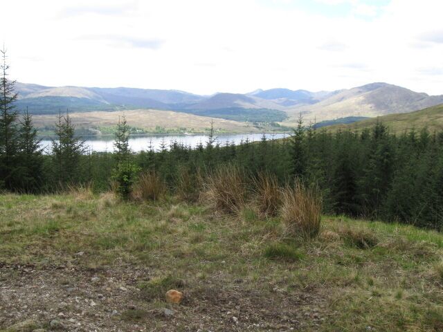 Forest track towards Loch Eil