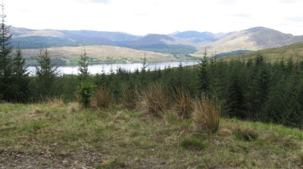 Forest track towards Loch Eil