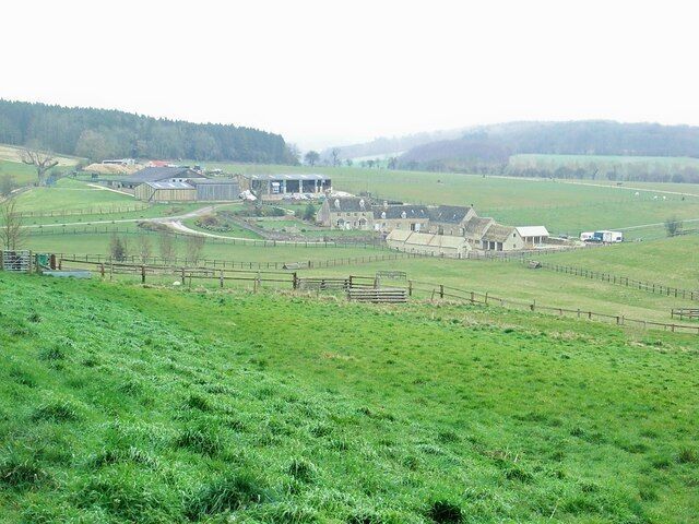 Empshill Farm With square Copse behind.