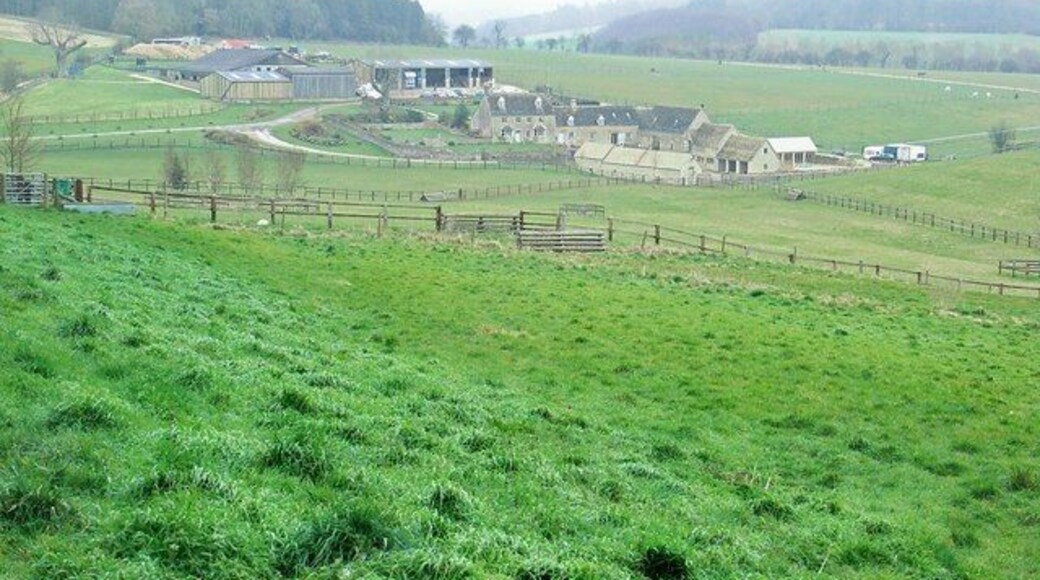 Empshill Farm With square Copse behind.