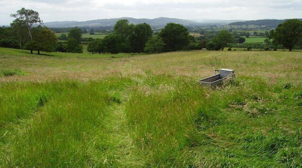 Drinking trough and reentrant. Back Farm is now just a very expensive looking house. The meadow below gives a fine view of the Ludlow Anticlyne , a fold in Silurian limestones covered by Bringewood. High Vinnalls (375m) on the left.