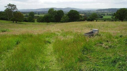 Drinking trough and reentrant. Back Farm is now just a very expensive looking house. The meadow below gives a fine view of the Ludlow Anticlyne , a fold in Silurian limestones covered by Bringewood. High Vinnalls (375m) on the left.