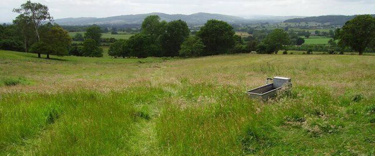 A grassy field with a metal container and trees in the distance.