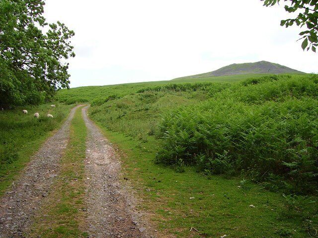 Titterstone Clee Hill. Bracken choked common at Stantongate just below the summit of Clee Hill (533m). This is the sharp end, not quarried and still covered in dhustone boulders. (Dhustone is a type of dolerite, pronounced almost like "dew".)