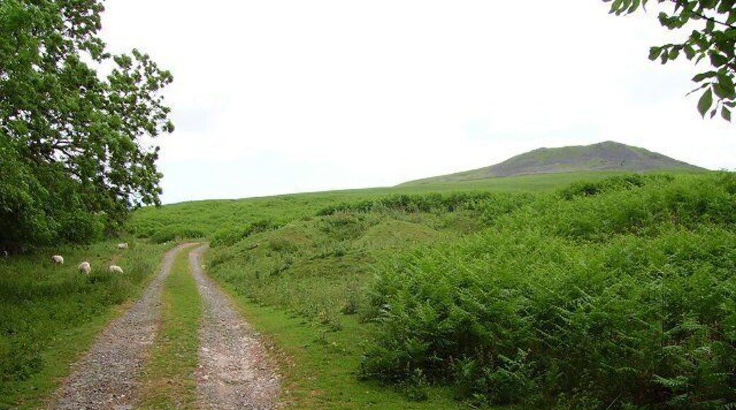 Titterstone Clee Hill. Bracken choked common at Stantongate just below the summit of Clee Hill (533m). This is the sharp end, not quarried and still covered in dhustone boulders. (Dhustone is a type of dolerite, pronounced almost like "dew".)