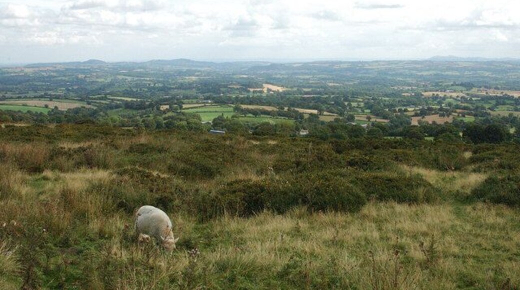 Clee Hill Common & the Teme Valley