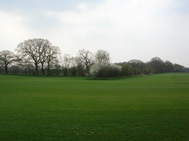 Opposite Bolton Hall, Bolton, East Riding of Yorkshire, England. A large grassy stretch of farmland bordered by hedgerows with hawthorn in blossom.