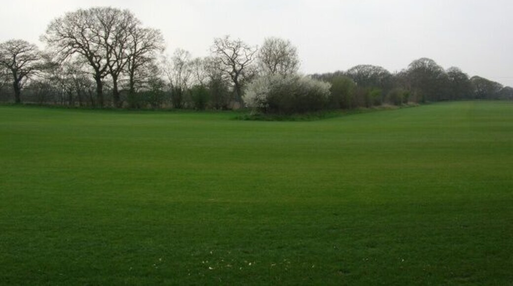 Opposite Bolton Hall, Bolton, East Riding of Yorkshire, England. A large grassy stretch of farmland bordered by hedgerows with hawthorn in blossom.