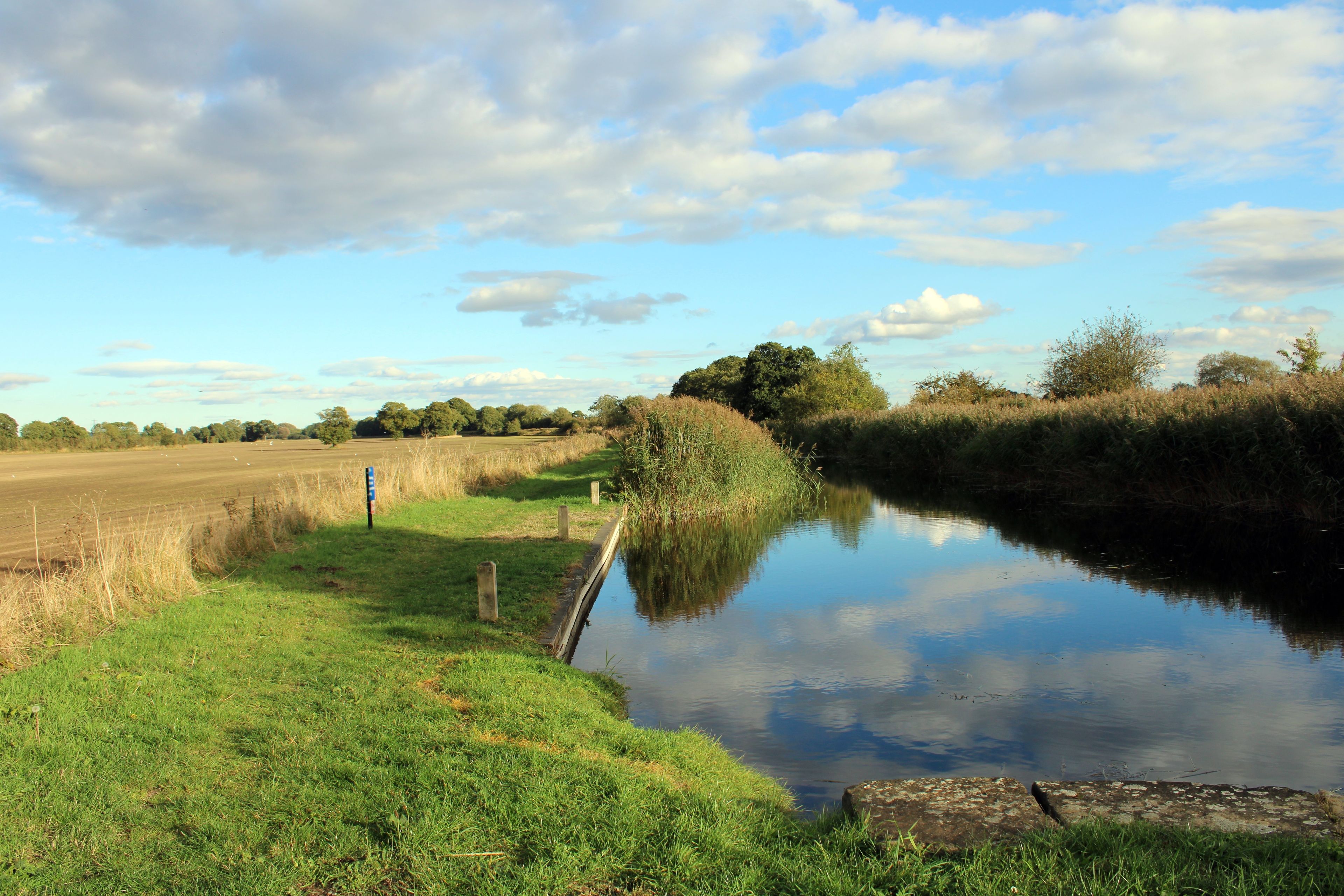 Pocklington Canal, East Riding of Yorkshire.