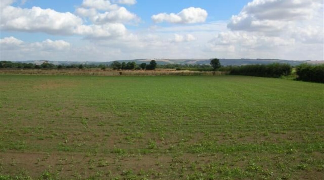 Towards the Wolds from New Bridge Lane, west of Bolton, East Riding of Yorkshire, England. The Wolds represent a sudden height increase in the otherwise very flat areas surrounding York. Bolton lies on the flat area ahead.