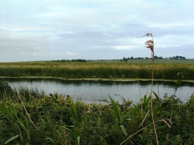 View across the river towards Holmhill Farm