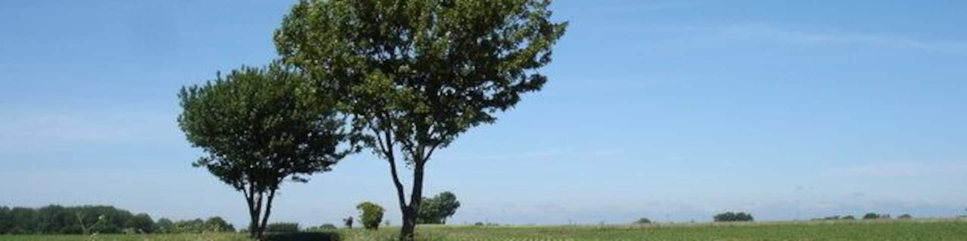 Back Lane, Lower Falkenham