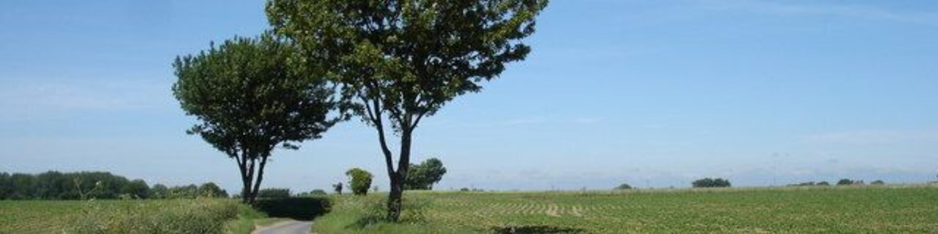 Back Lane, Lower Falkenham