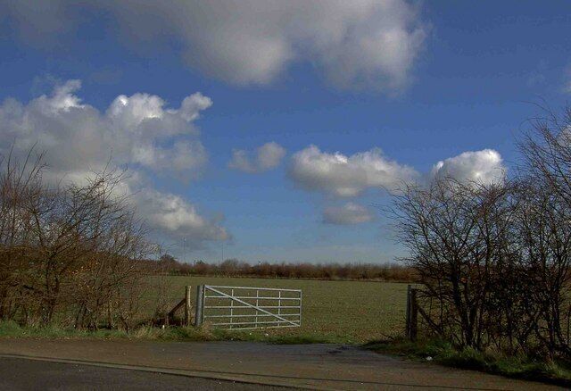 A rural landscape with a metal gate, trees, and a clear sky.
