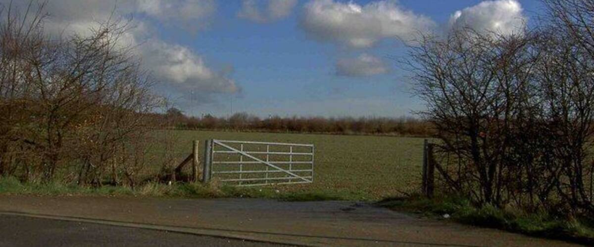 A rural landscape with a metal gate, trees, and a clear sky.