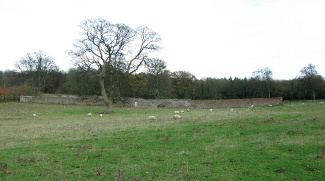 Sheep grazing near Home Farm The brick wall in the background is the SW wall of what appears to be a former walled garden, now used for some livestock.